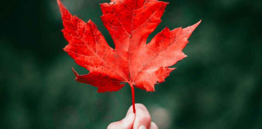 Why Choose Real Estate Websites Canada as a Canadian Broker or Agent